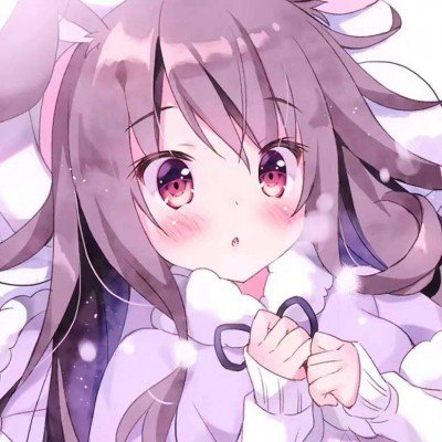 中俄元首出席中俄教育年开幕式